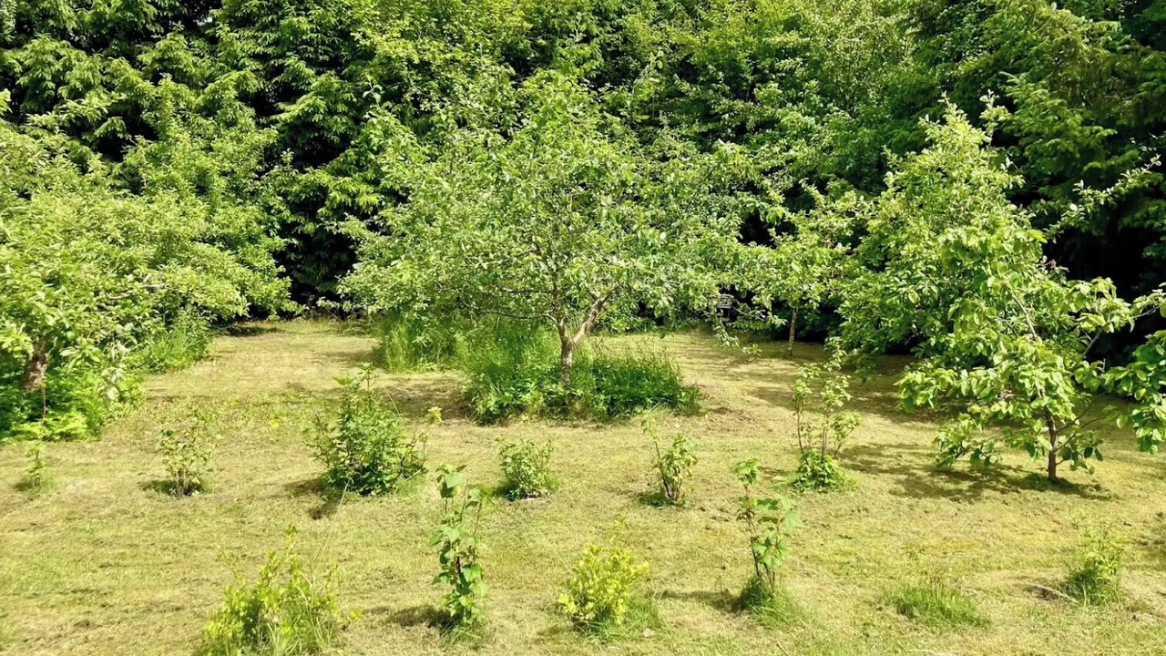 Photo of Outdoor in Tisvildeleje