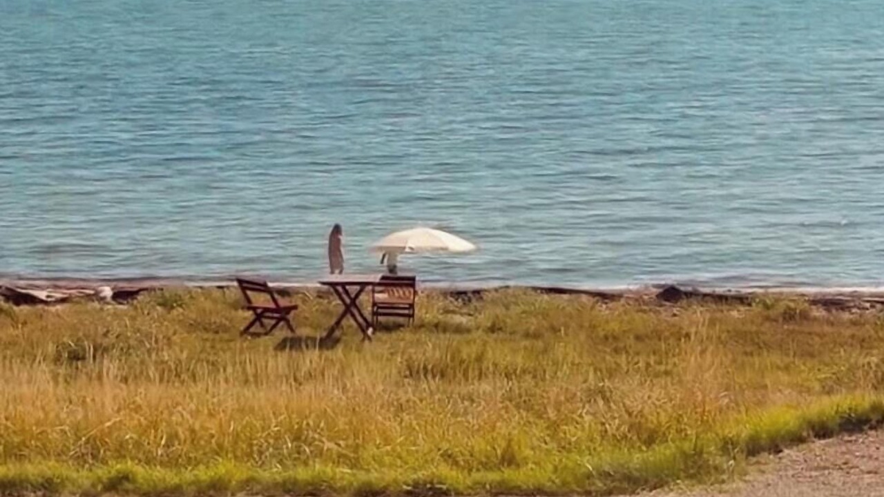 Photo of Others in Dannemare
