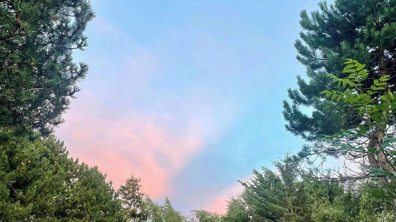 Photo of Outdoor in Holloselund
