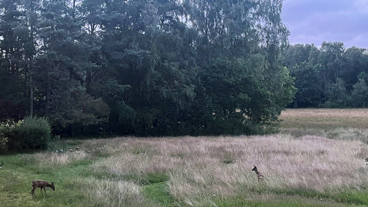 Photo of Others in Øksenmølle