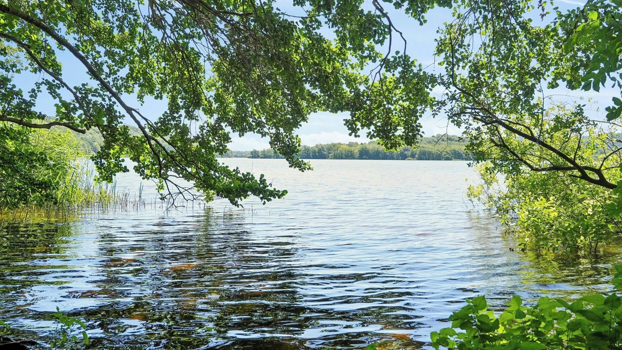 Photo of Others in Helberskov