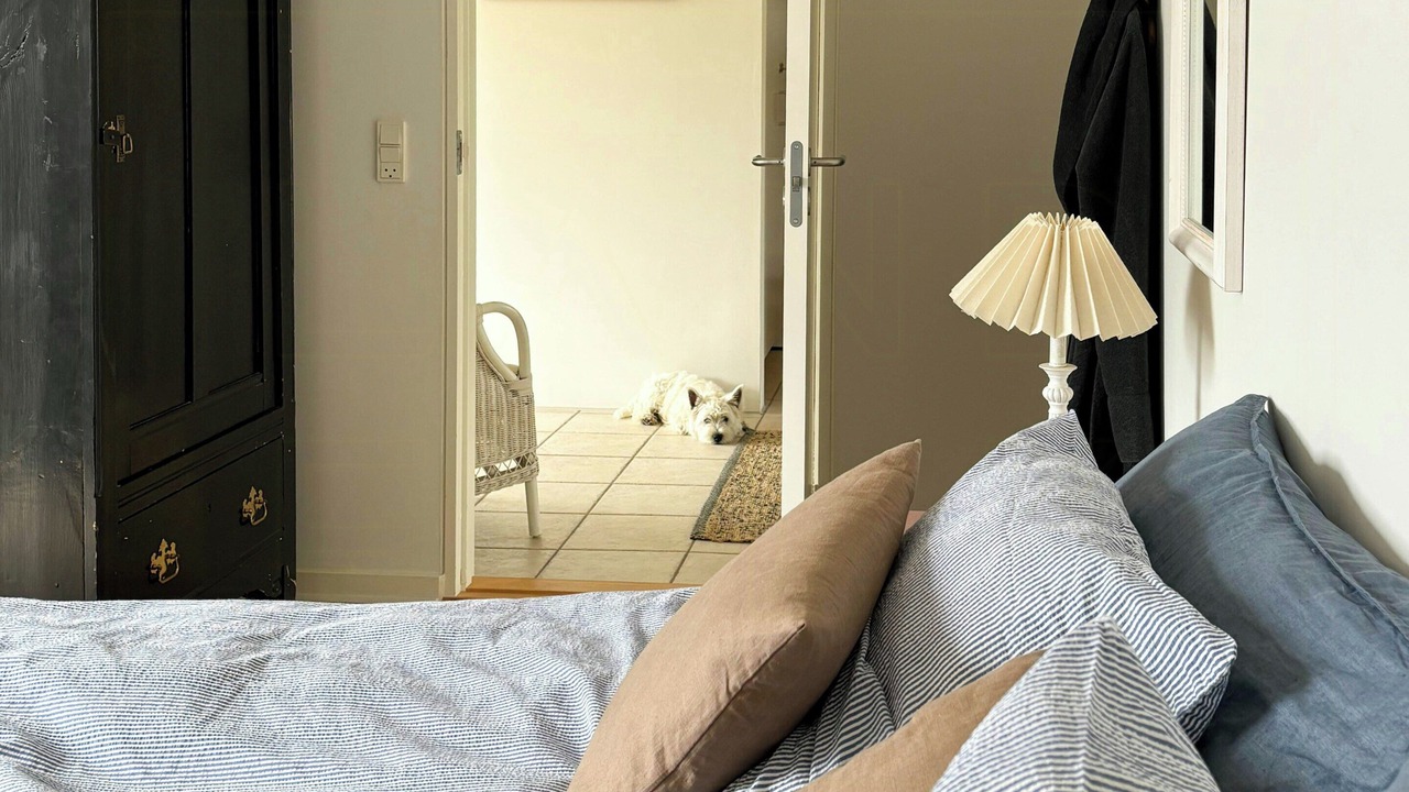 Photo of Bedroom in Knebel