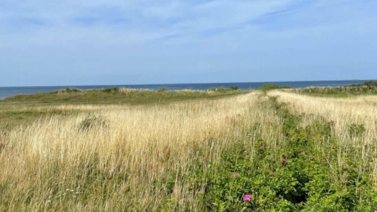 Photo of Others in Kalundborg