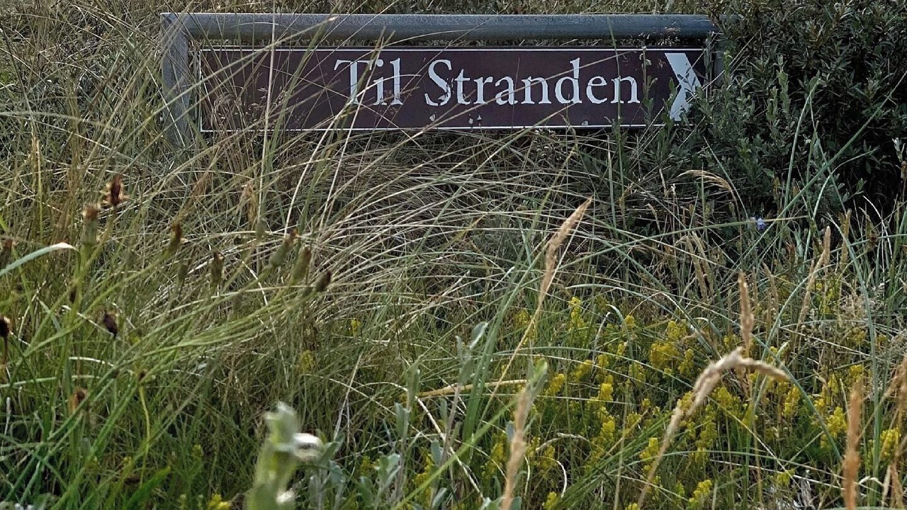 Photo of Others in Kandestederne