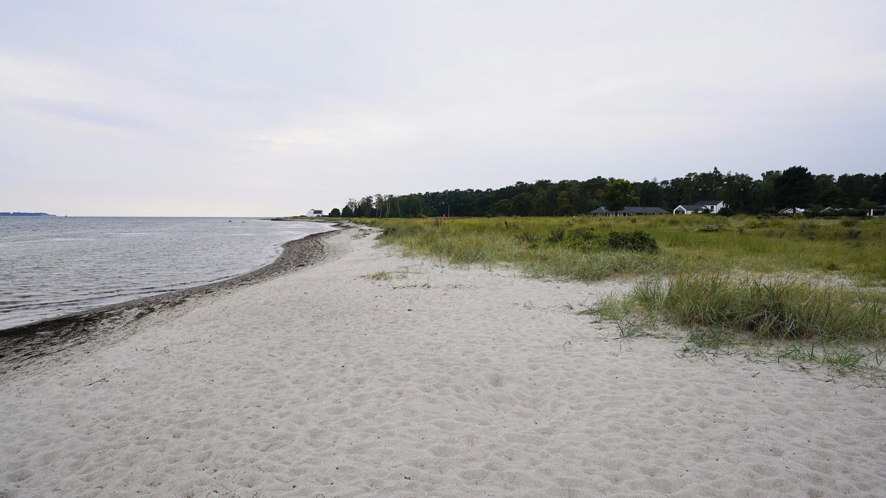 Photo of Others in Lystrup