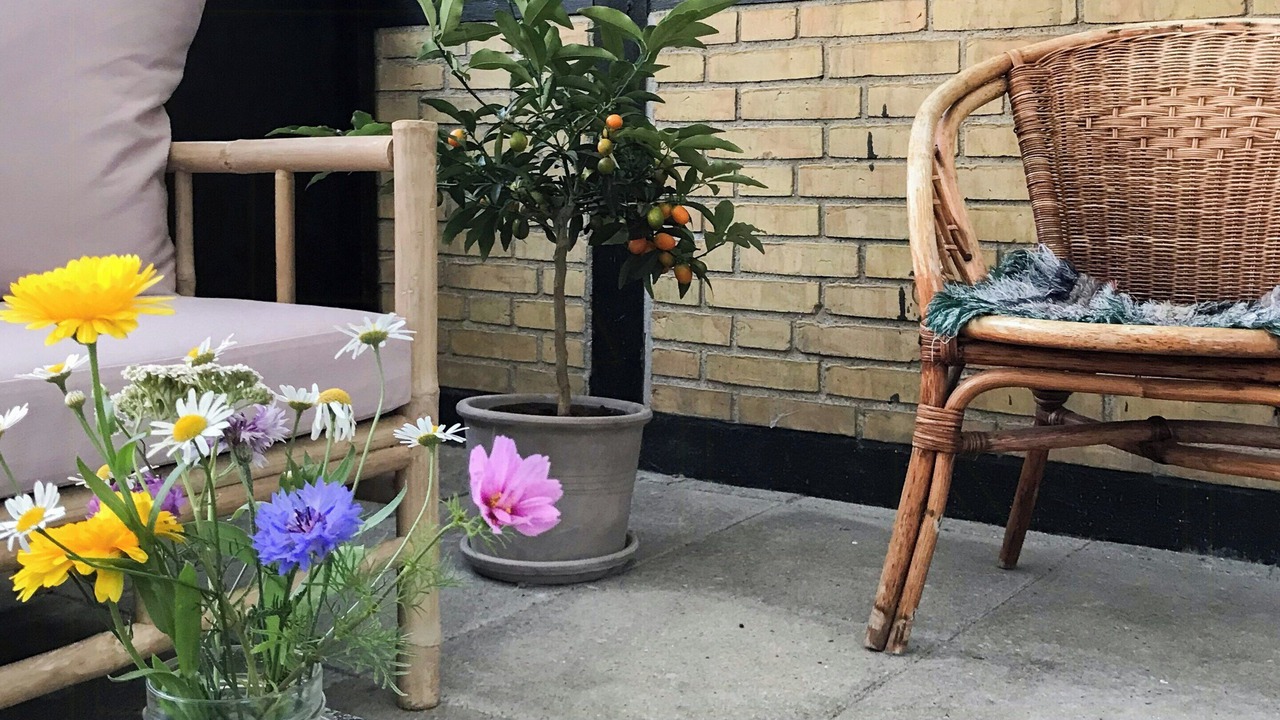 Photo of Patio Balcony in Errindlev