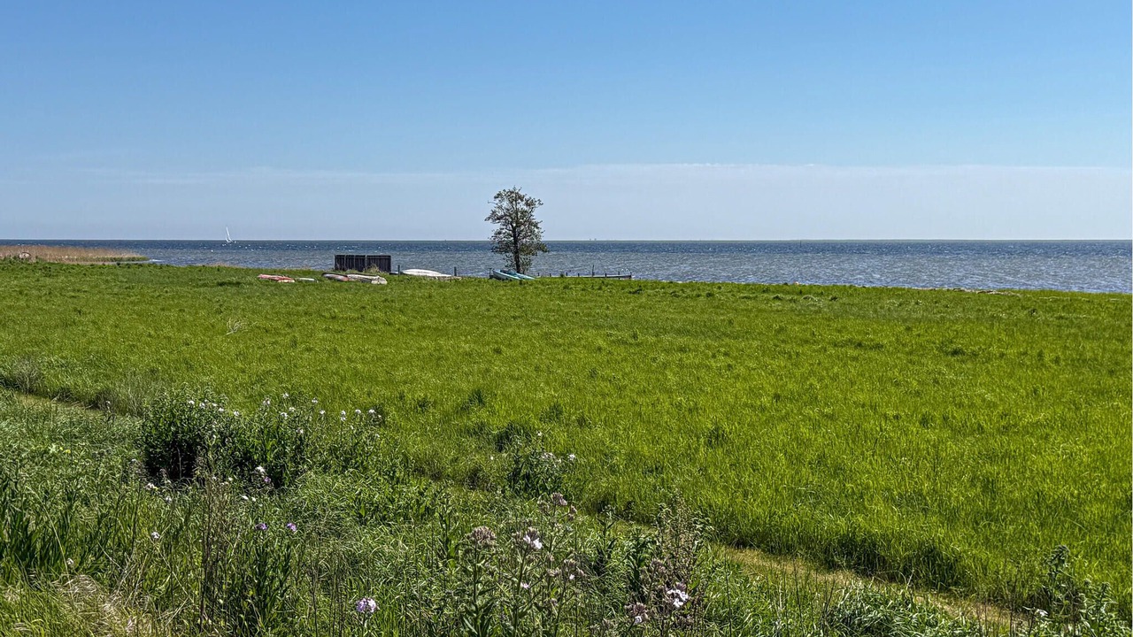 Photo of Others in Stavreby