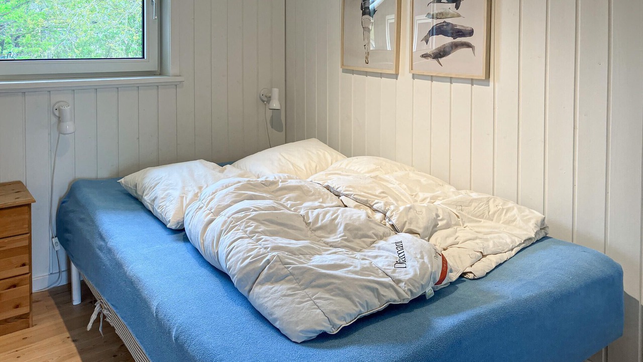Photo of Others in Hvalpsund
