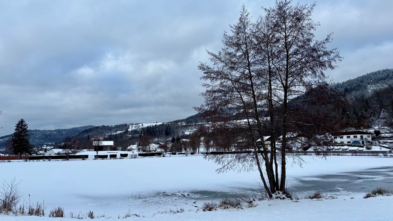 Photo of Others in Le Thillot