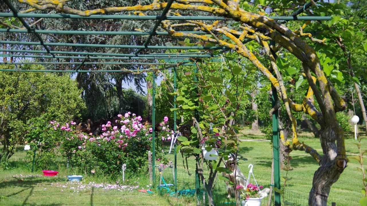 Photo of Outdoor in Sorbo-Ocagnano