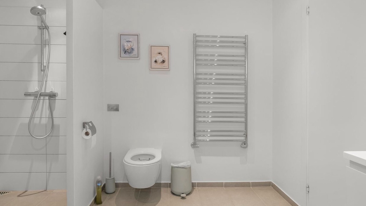 Photo of Bathroom in Skagen