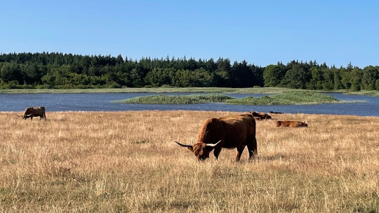Photo of Outdoor in Sjaelborg