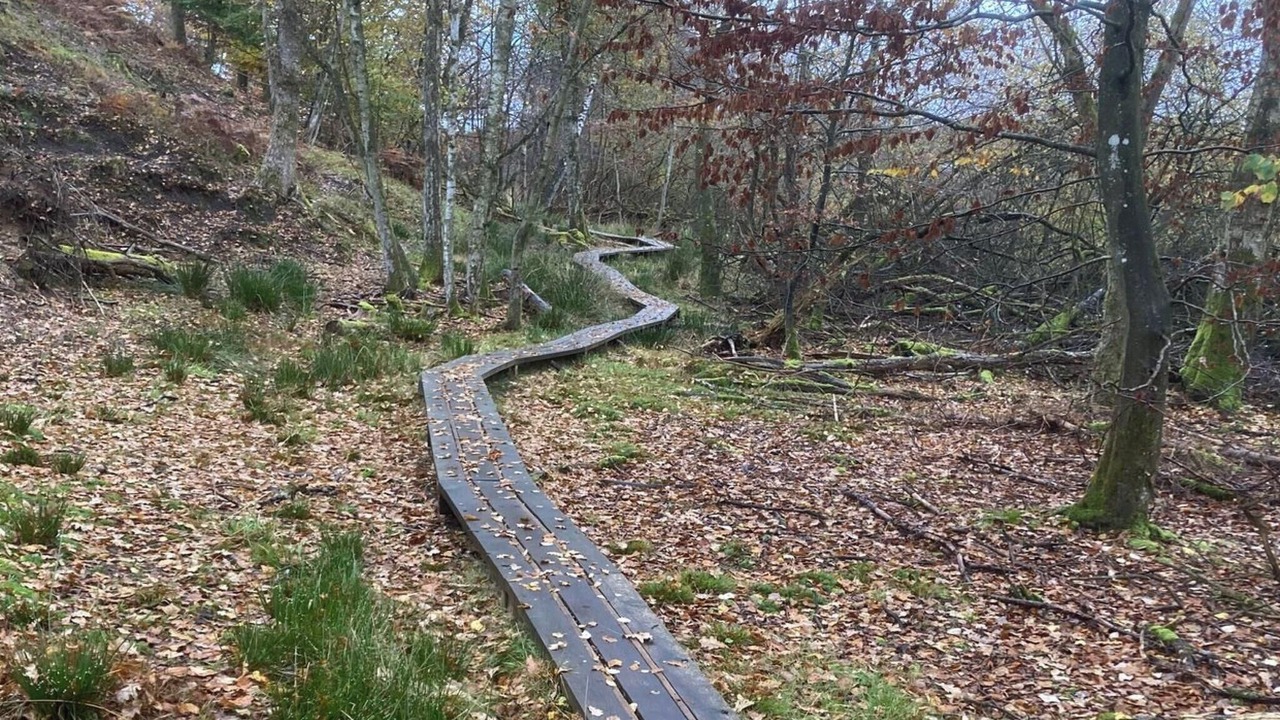 Photo of Outdoor in Thorsoe