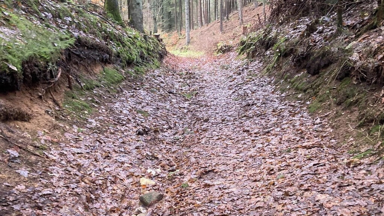Photo of Outdoor in Thorsoe