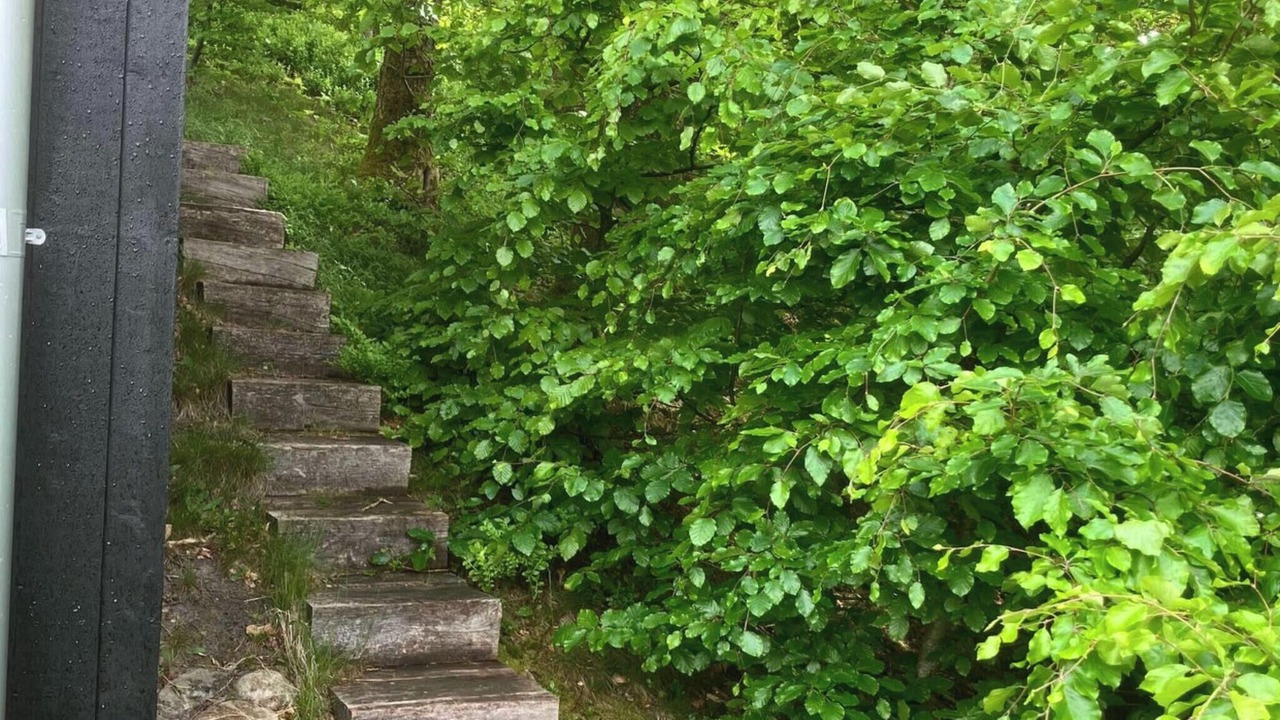 Photo of Outdoor in Thorsoe