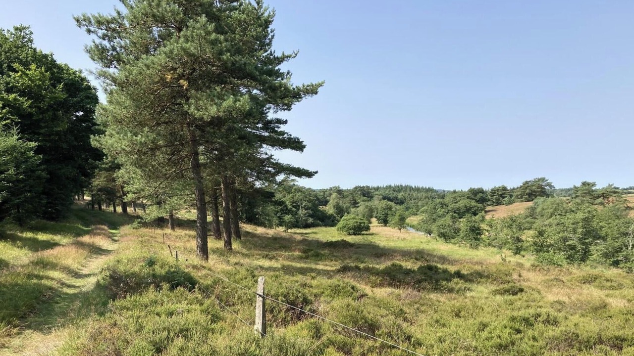 Photo of Outdoor in Thorsoe