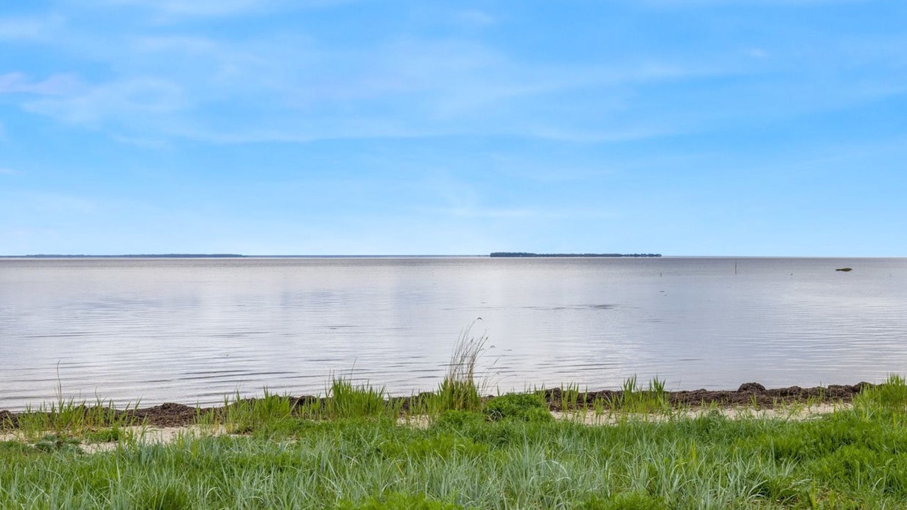 Photo of Others in Bjert