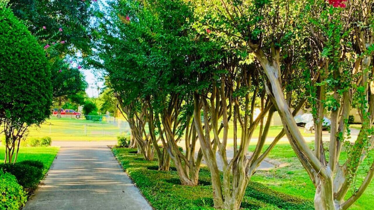 Photo of Outdoor in DeSoto