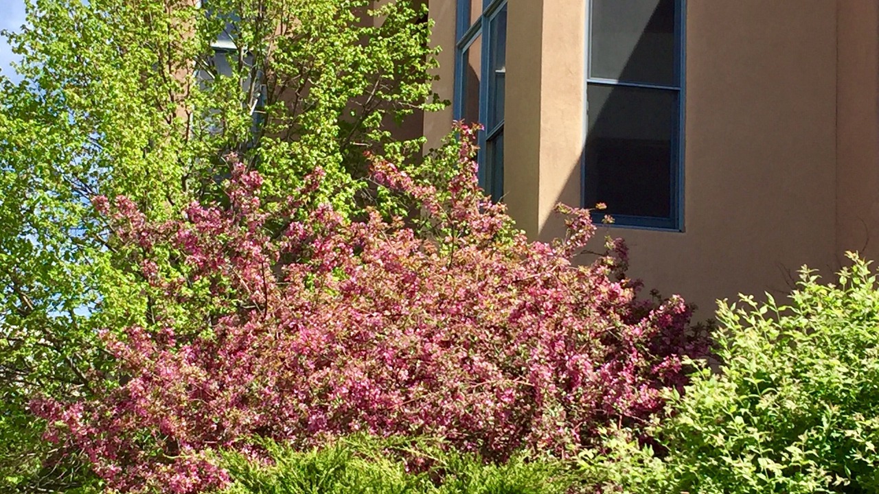Photo of Outdoor in Southside