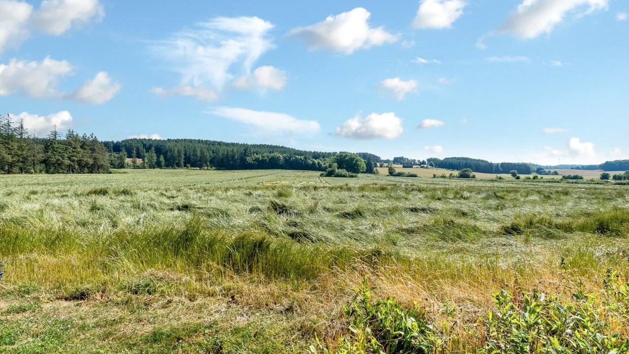 Photo of Others in stervra