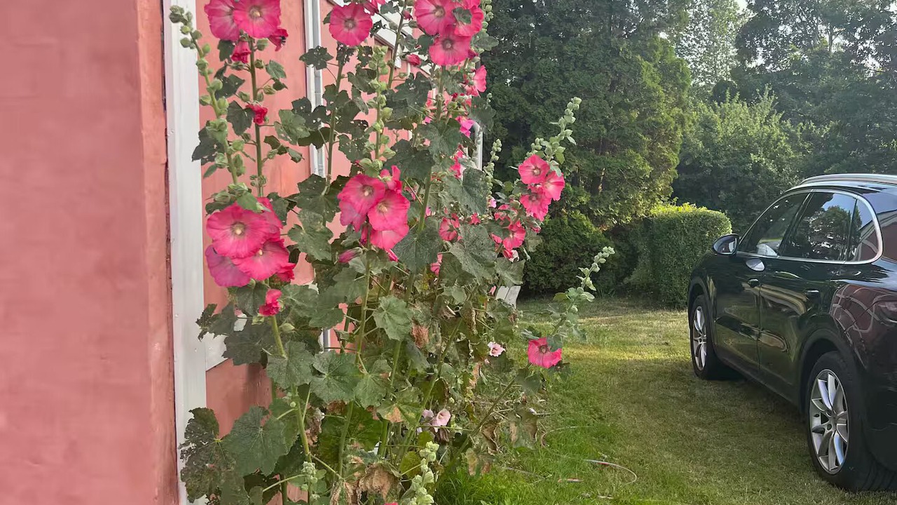 Photo of Outdoor in Soeby