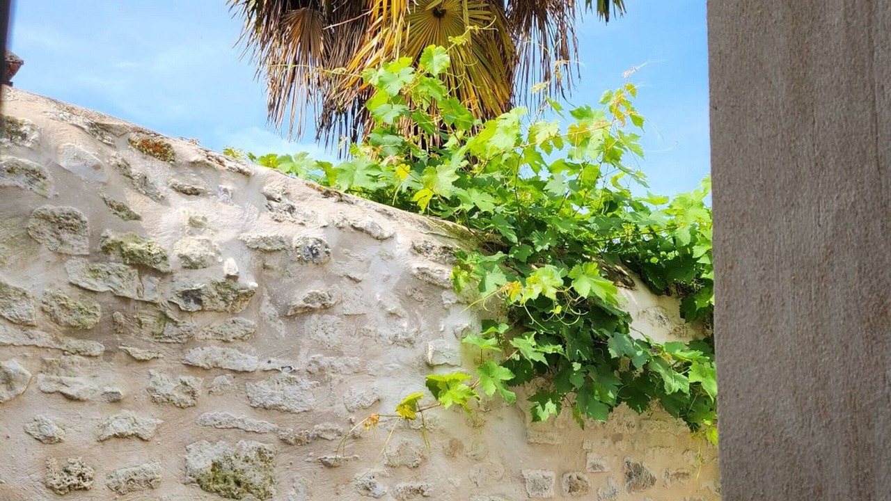 Photo of Outdoor in Senlis