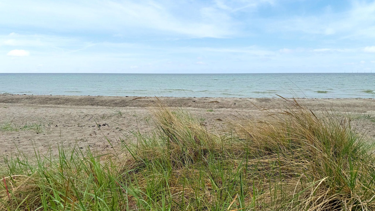 Photo of Others in Saksild Strand