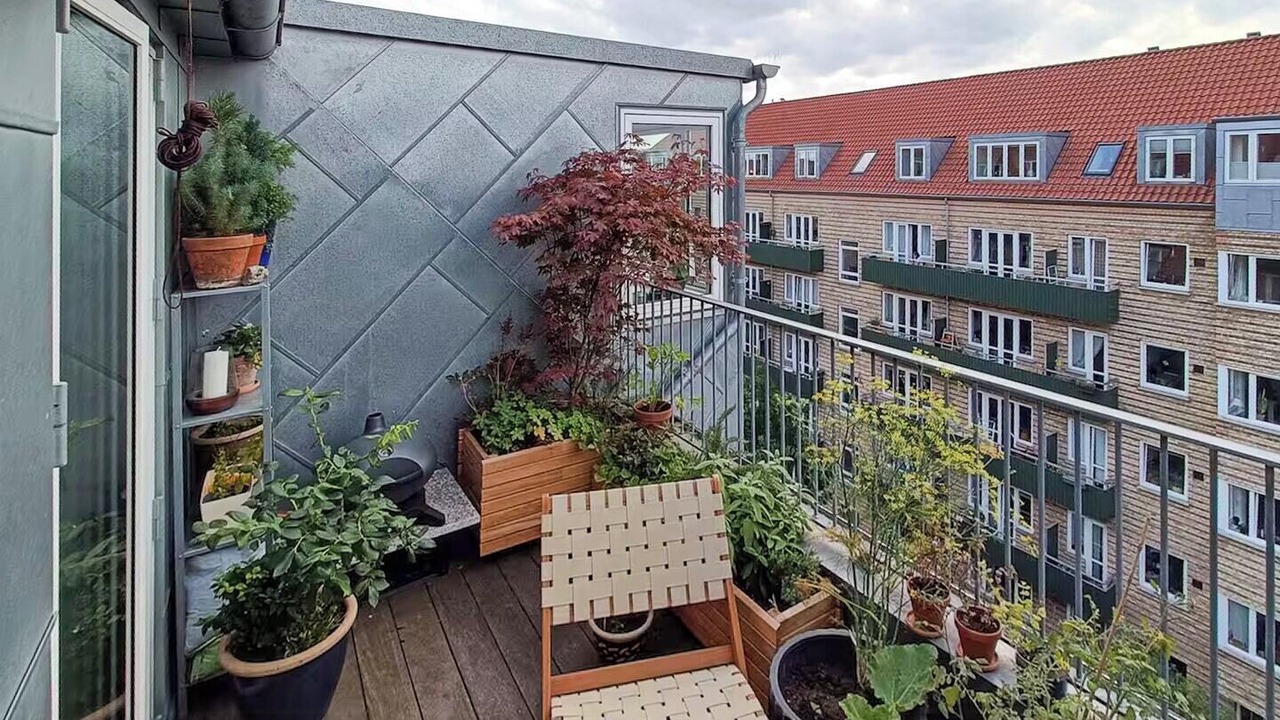 Photo of Outdoor in København NV
