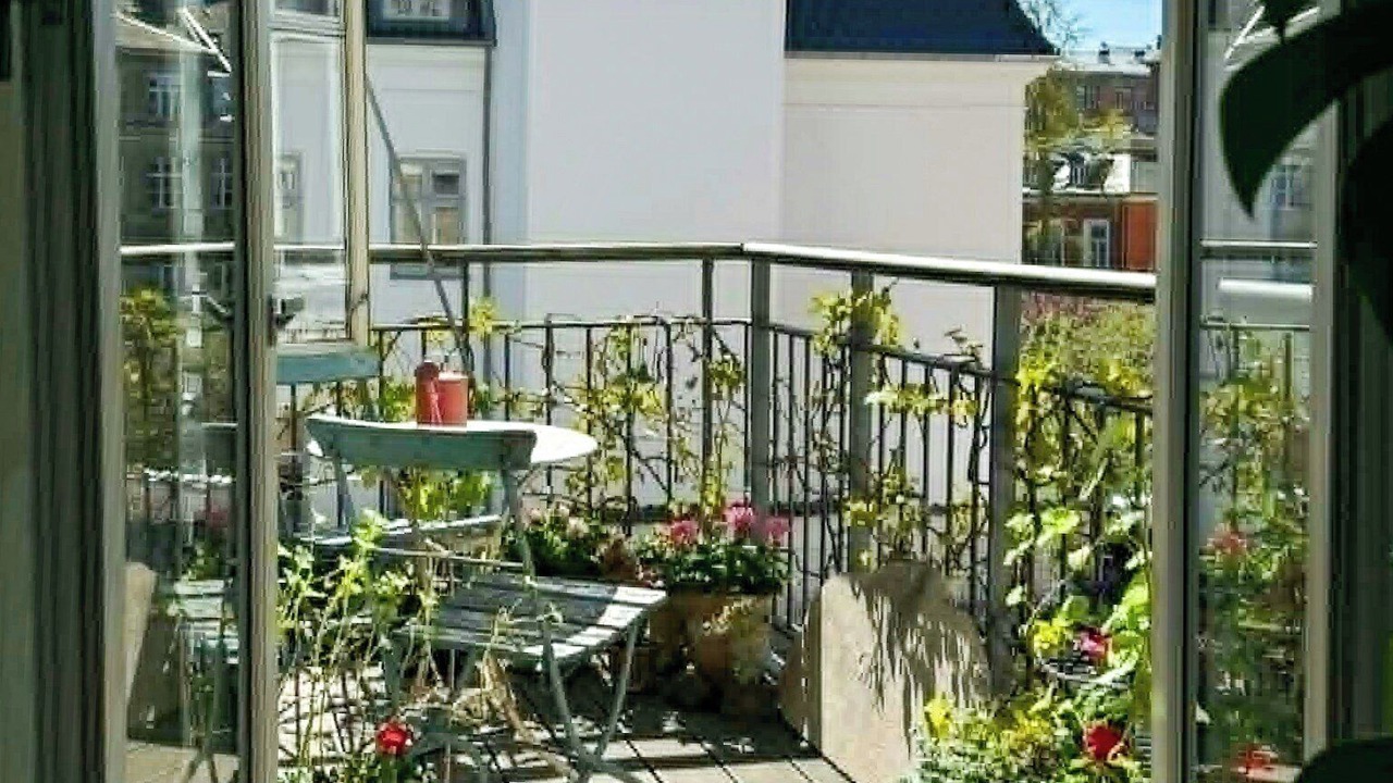 Photo of Others in Frederiksberg C