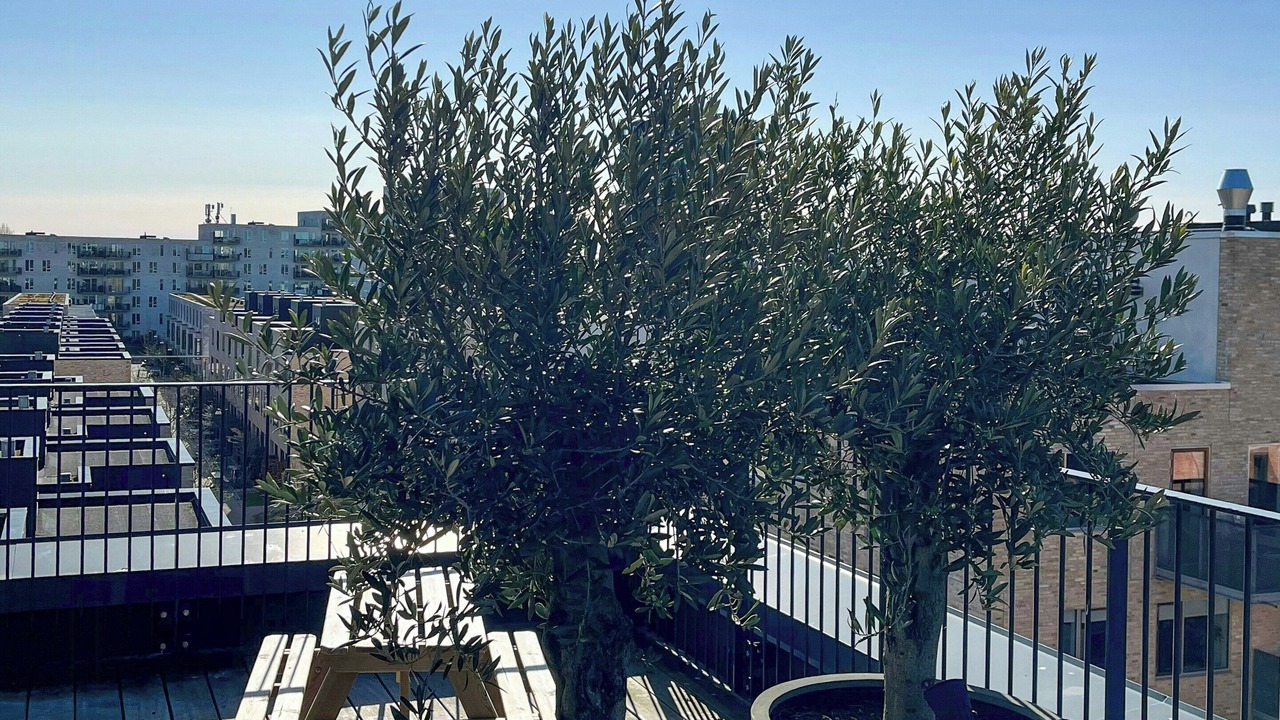 Photo of Patio Balcony in Amager