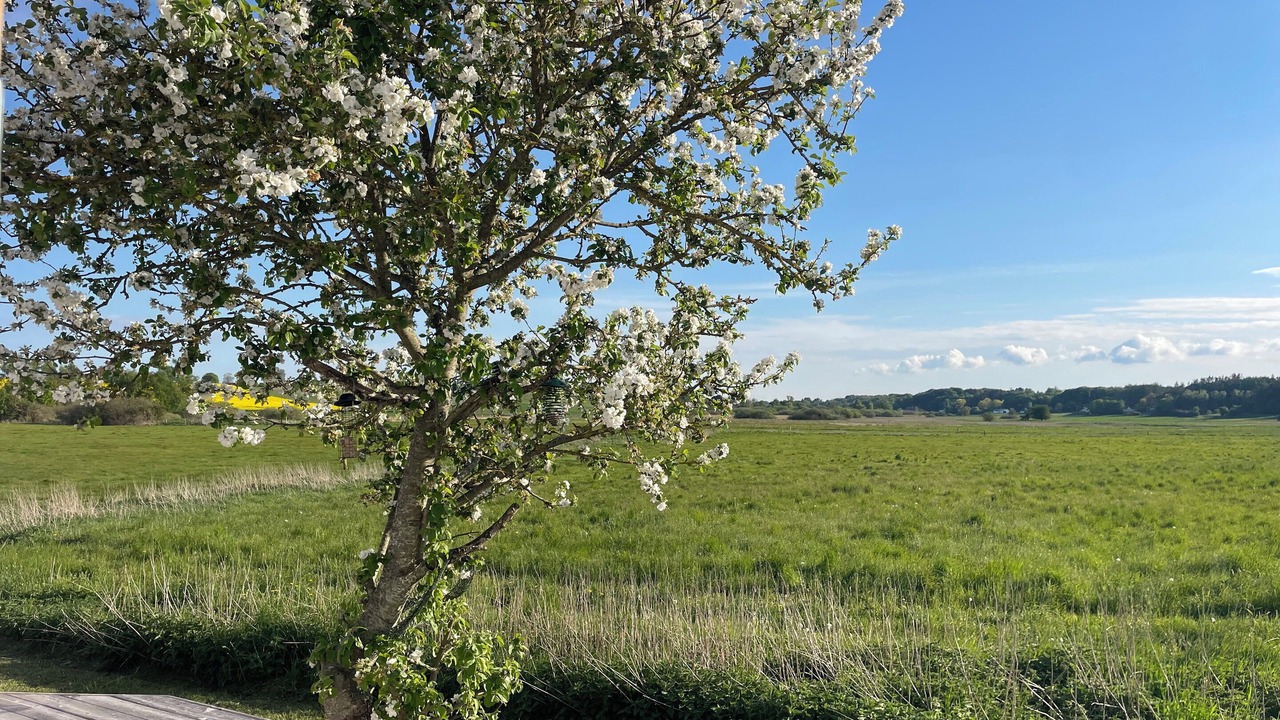 Photo of Others in Grenaa