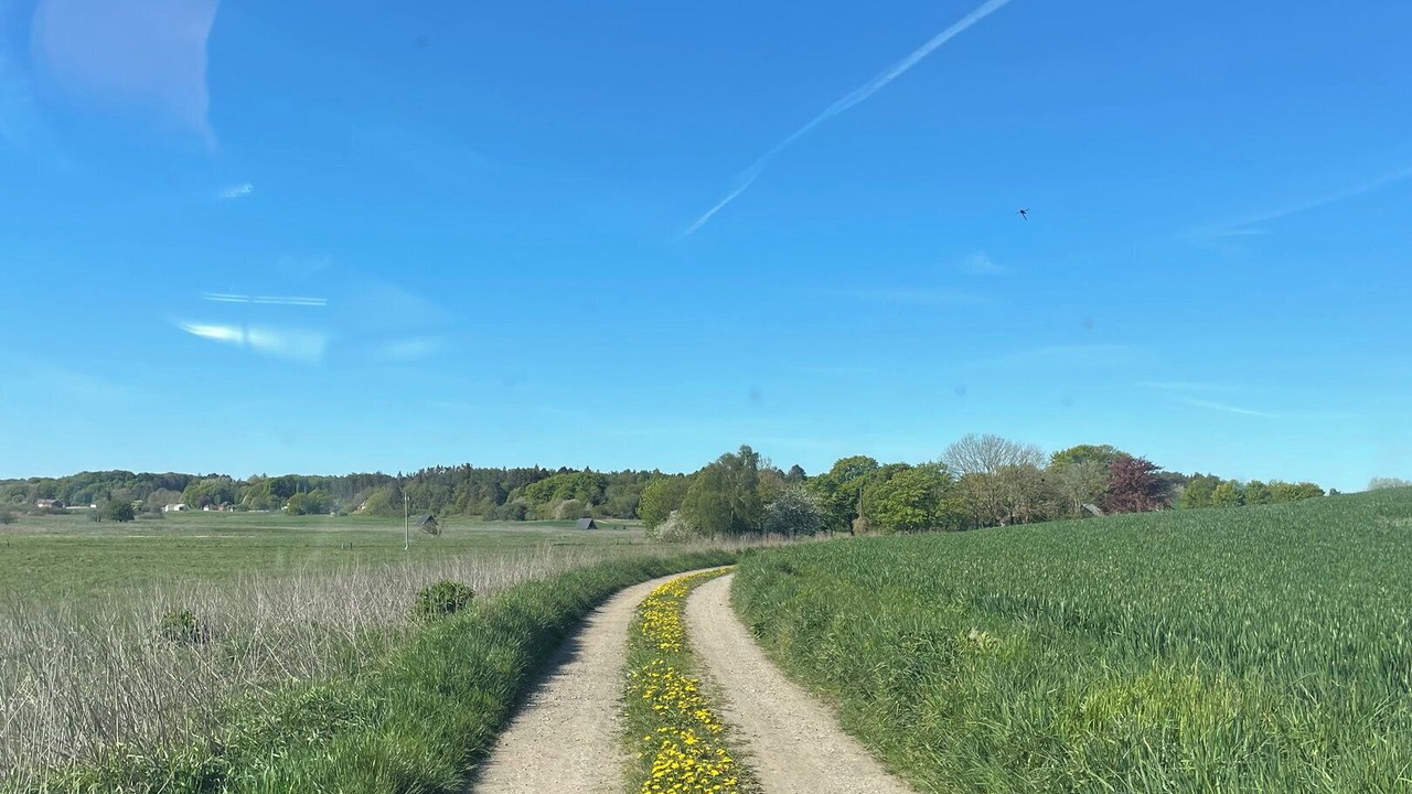 Photo of Others in Grenaa