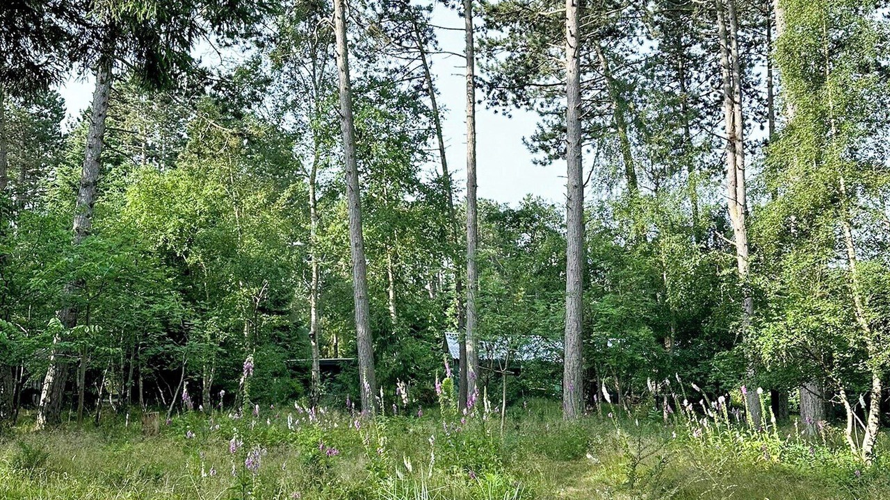 Photo of Outdoor in Store Fuglede