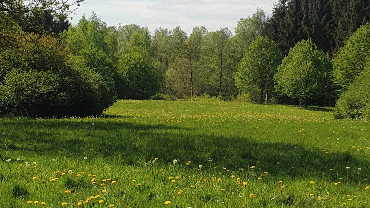 Photo of Others in Hadsund