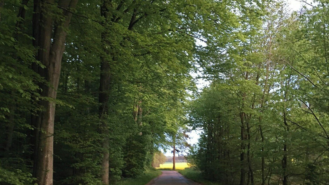 Photo of Others in Hundslund