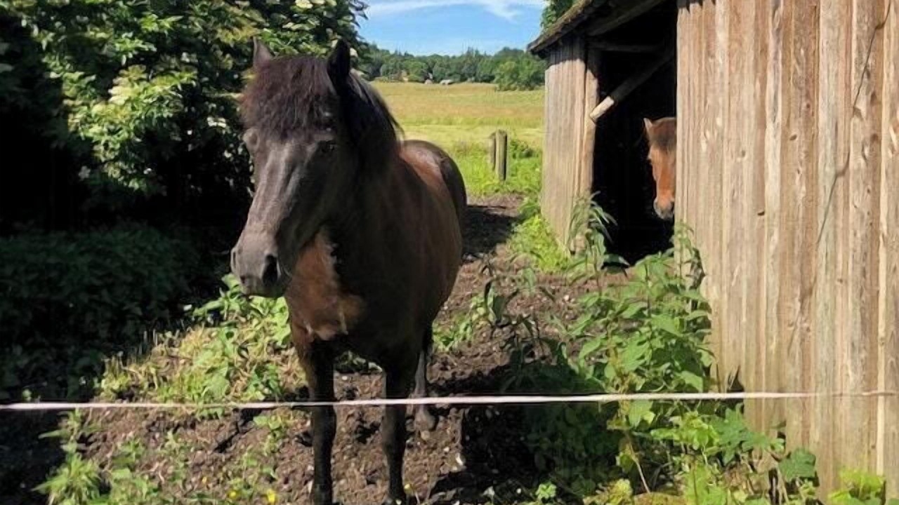 Photo of Others in Hundslund