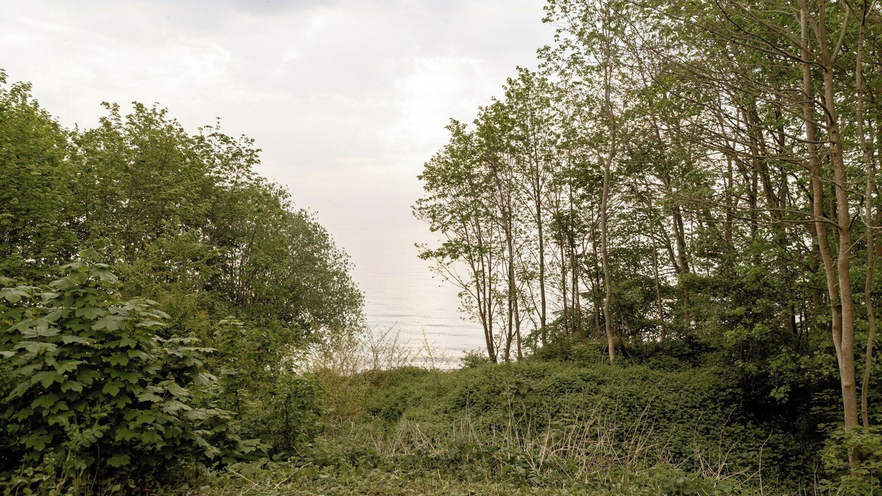 Photo of Others in Mommark Strand