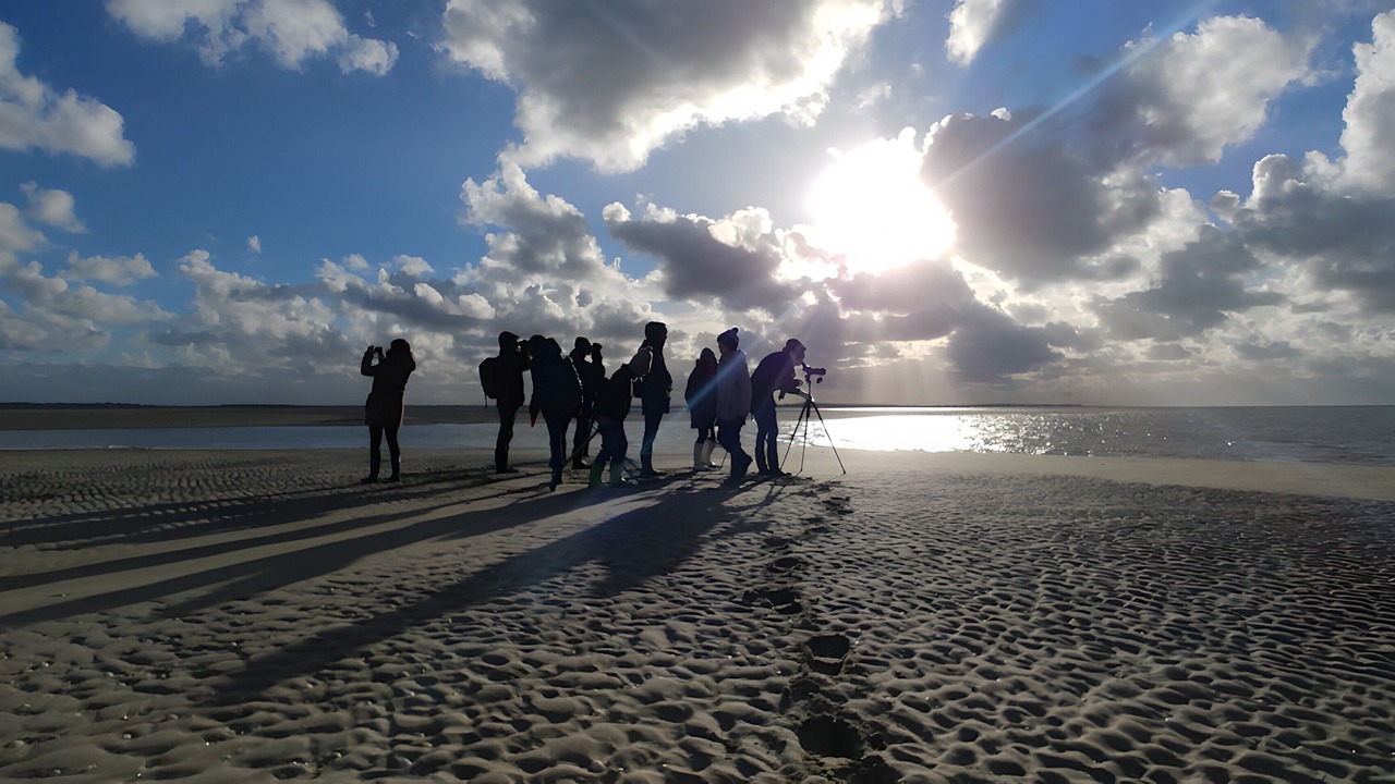 Photo of Others in Saint-Valery-sur-Somme