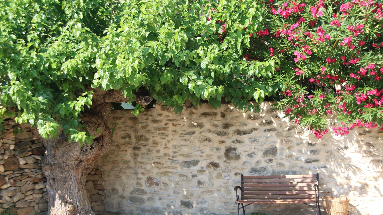 Photo of Outdoor in Saint-Andre-d'Olerargues