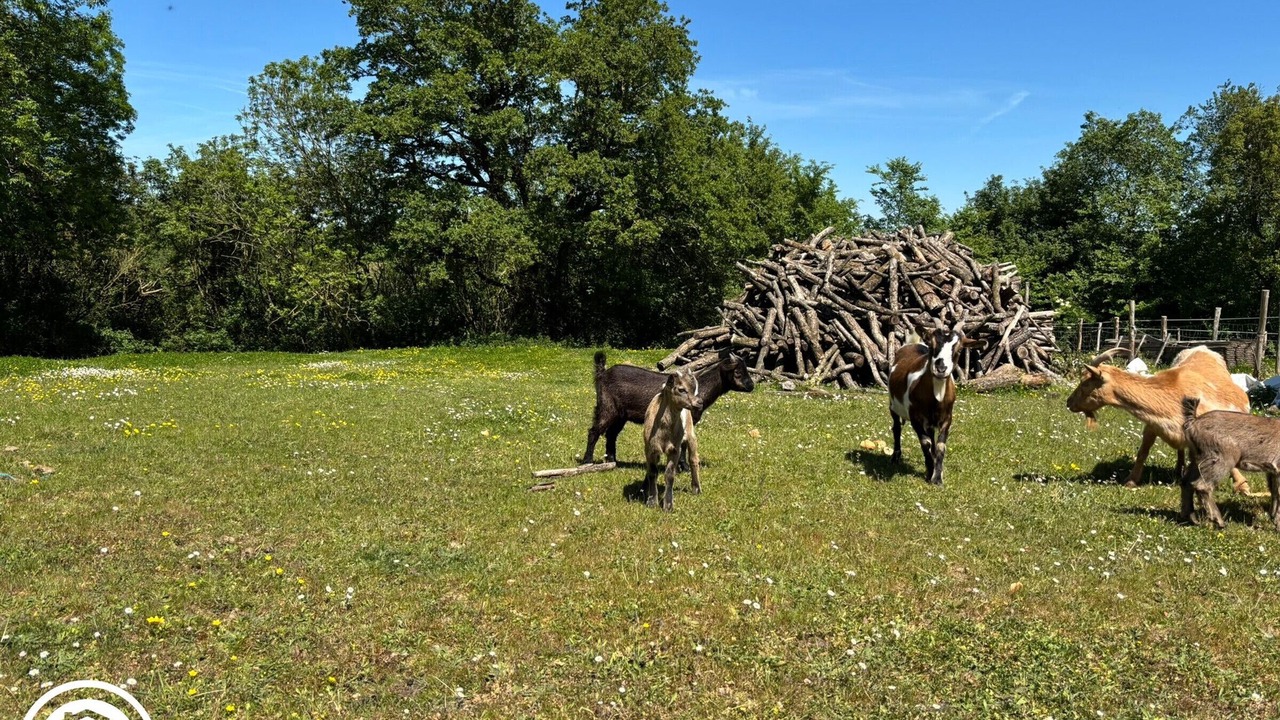 Photo of Others in Chantonnay