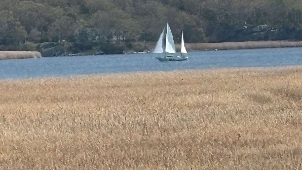 Photo of Others in Old Saybrook