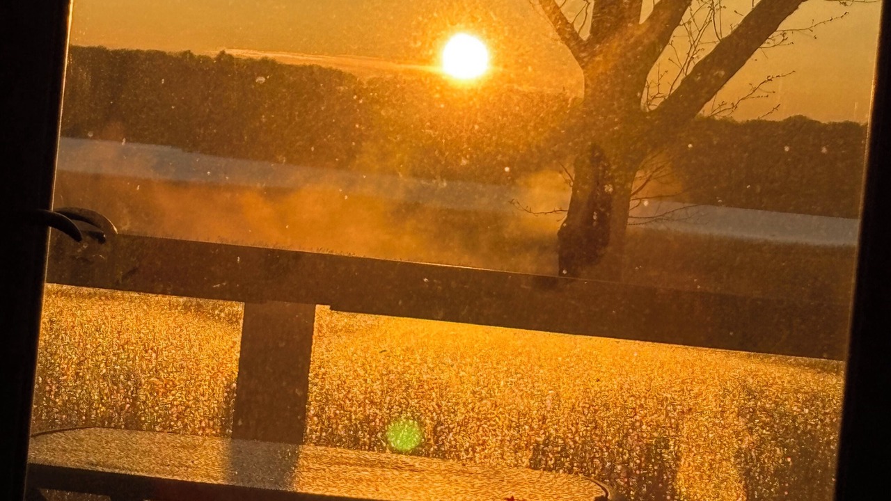 Photo of Outdoor in Old Saybrook
