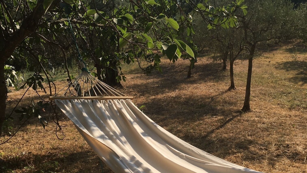 Photo of Outdoor in Lurs