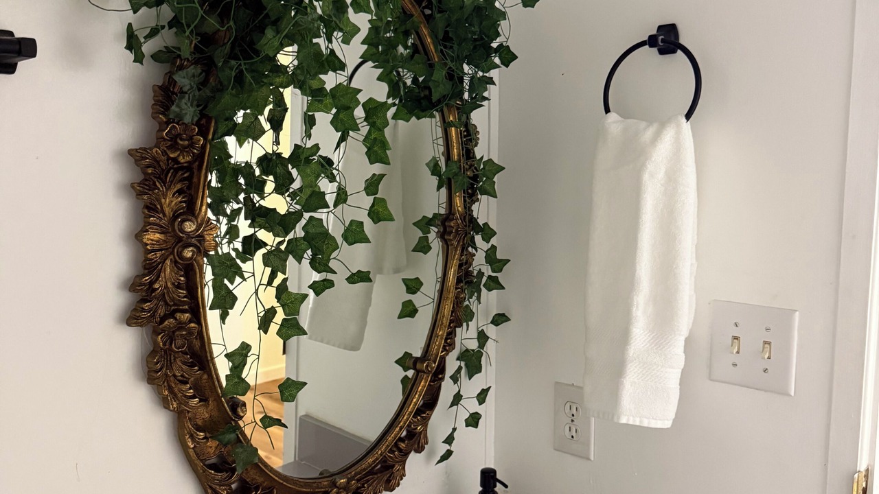 Photo of Bathroom in Henderson County