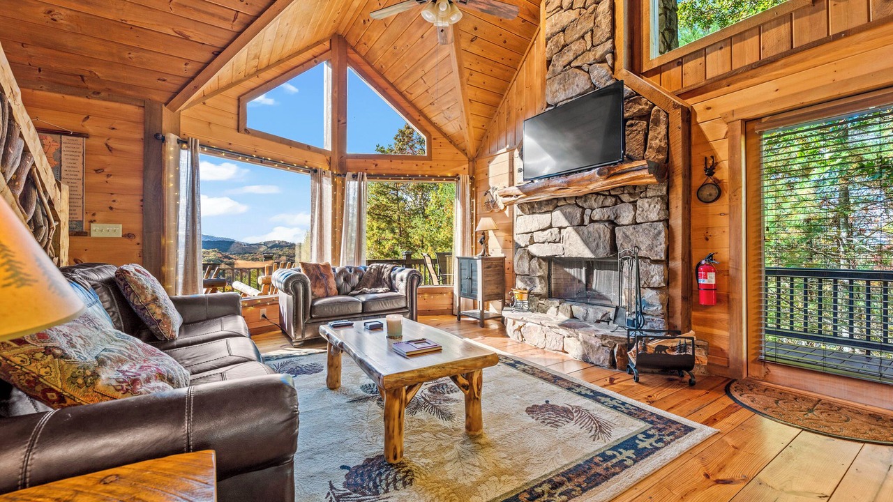 Photo of Livingroom in Mineral Bluff
