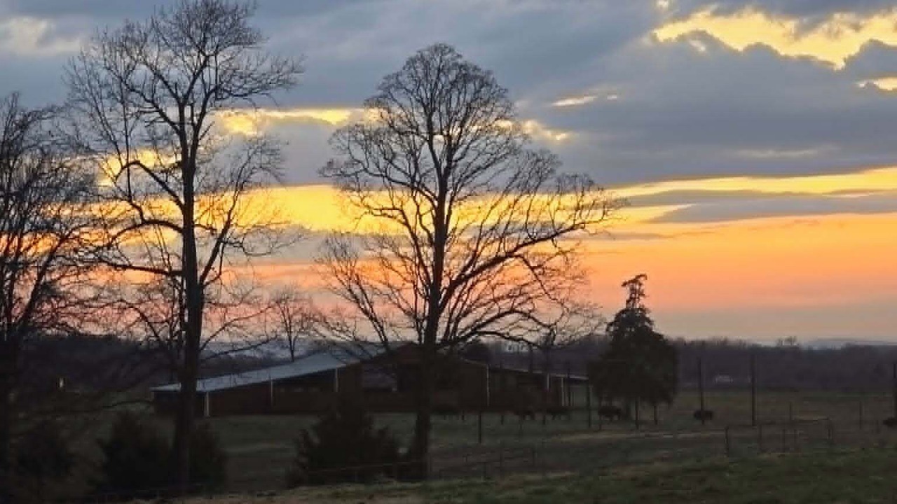Photo of Others in Marshall