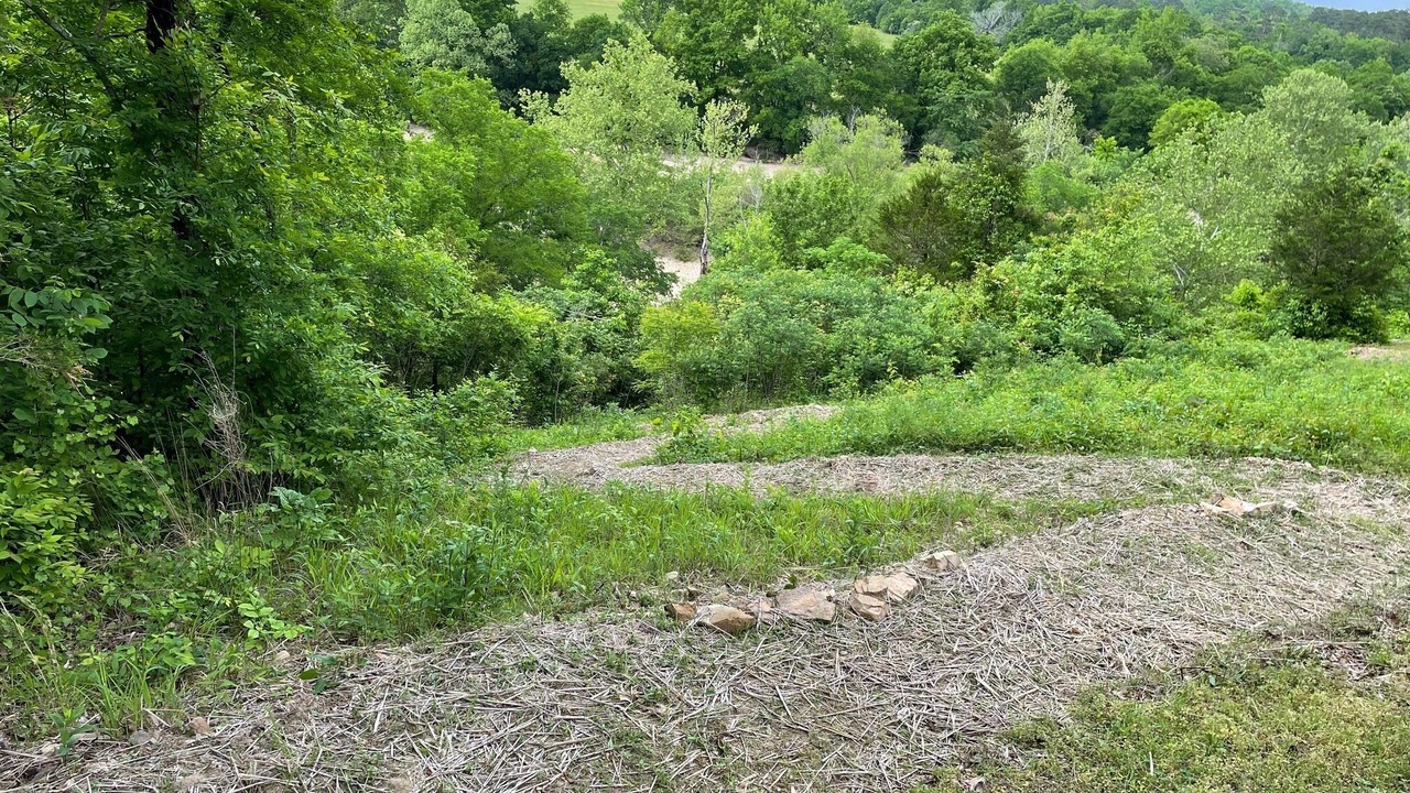 Photo of Others in Amity