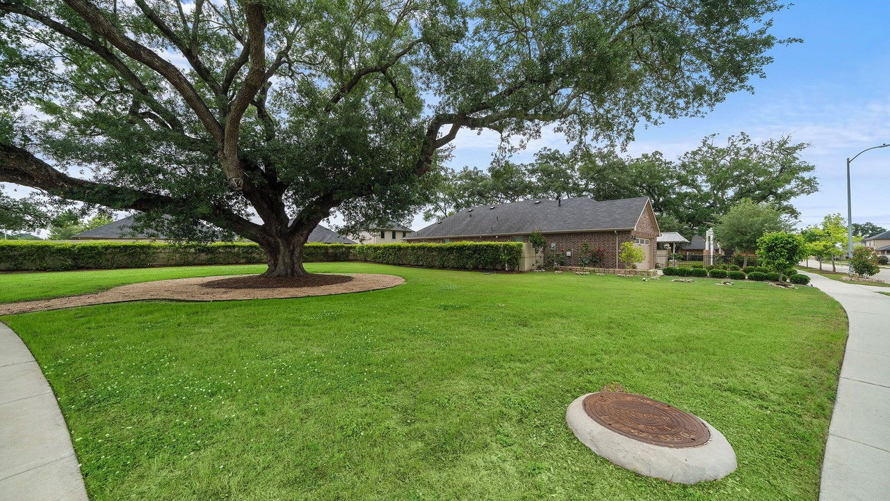 Photo of Outdoor in Central Southwest