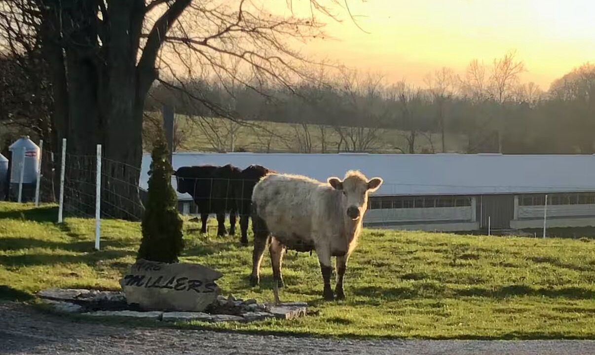 Photo of Others in West Union