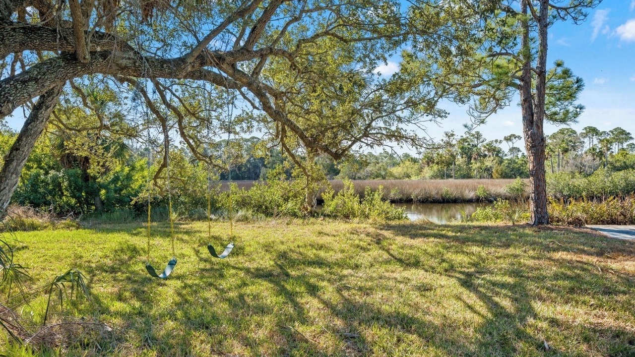 Photo of Outdoor in Spring Hill
